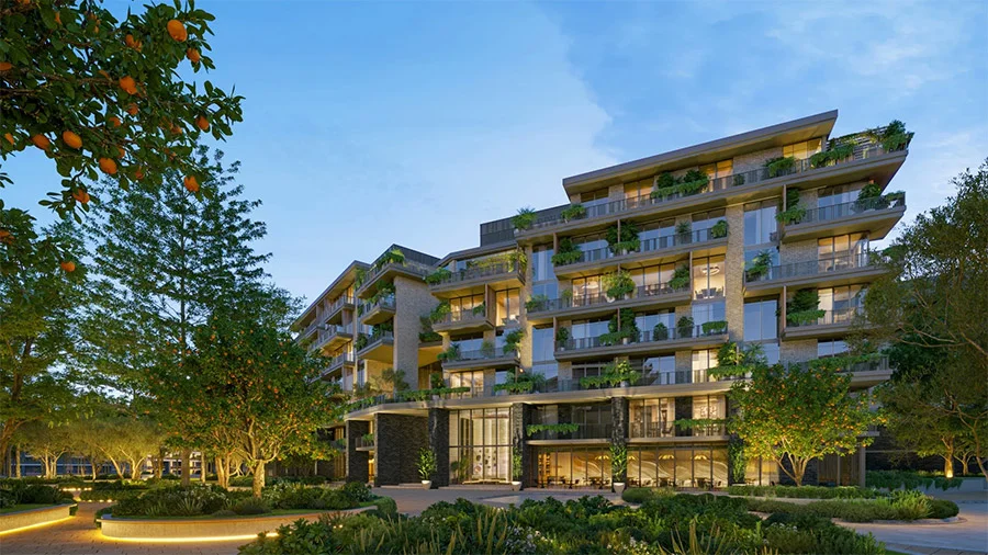 Arancia at The Yards by BEYOND